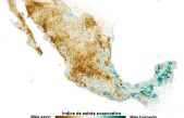 La otra historia que el ADN cuenta sobre la población en el México prehispánico