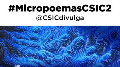 El CSIC anuncia los 10 poemas ganadores de su concurso de micropoemas científicos