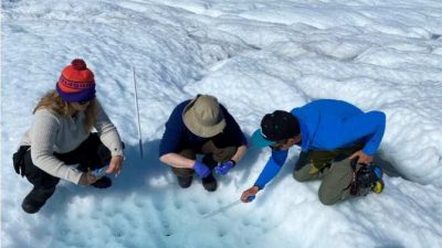 Las asombrosas formas de vida minúsculas del hielo