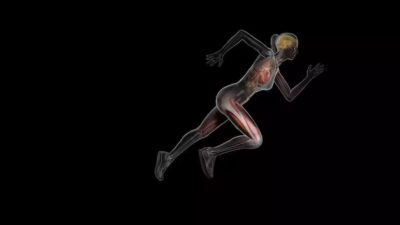 Por qué los humanos tenemos un extra inesperado de energía (y para qué sirve)