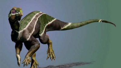 Descubren una especie de dinosaurio que tuvo que adaptarse a una época difícil