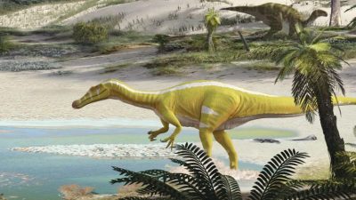 Descubren una nueva especie de dinosaurios completamente desconocida hasta ahora