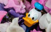 Día del Pato Donald