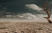Día de Lucha contra la Desertificación y la Sequía