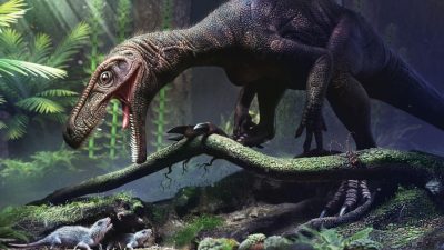 La evidencia más antigua del rasgo que hizo posible el gigantismo de los dinosaurios