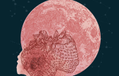 Cuándo y cómo ver la ‘Luna de Fresa’