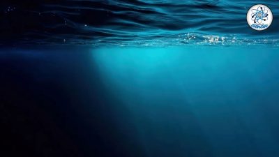 Un extraño agujero recién descubierto en el fondo del océano, tiene desconcertados a los científicos
