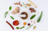 Los orígenes de los herbolarios y su misión: Un vistazo a la medicina herbal tradicional