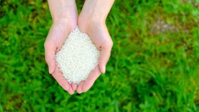 Descubre el secreto del arroz para potenciar el crecimiento de tus plantas