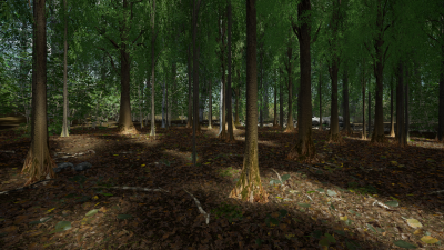 El “baño del bosque” también podría funcionar en realidad virtual