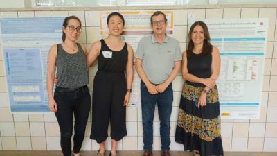 Consumo de frutos secos y capacidad cognitiva