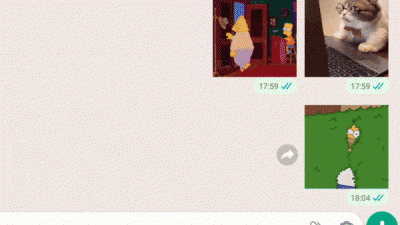 Animated Sticker Maker: ¿Cómo hacer stickers animados para WhatsApp?