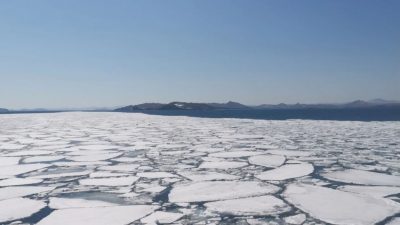 Desaparece una masa de hielo en la Antártida del tamaño de Argentina