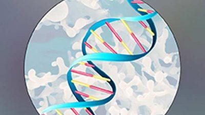 Chip de ADN para almacenar en él datos de todo tipo