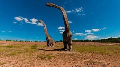 Encuentran una fascinante “guardería de dinosaurios” en un yacimiento en Bolivia, probablemente el más antiguo de Sudamérica