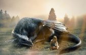 El mito de los dragones: Leyendas fantásticas y posibles inspiraciones en la naturaleza