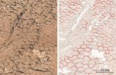 Las grietas en barro antiguo de Marte delatan condiciones favorables para la vida
