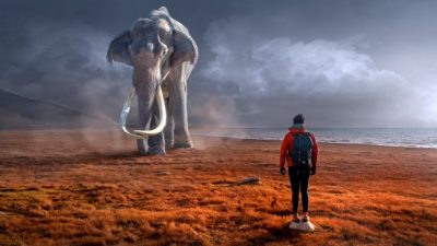 ¿Resucitar animales extintos? La ciencia explora las fronteras de la desextinción