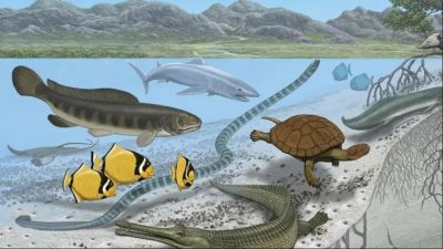 Cuando el Sahara fue un mar en el que habitaban criaturas gigantescas