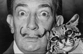 Babou, el excéntrico gato de salvador Dalí, era realmente un ocelote