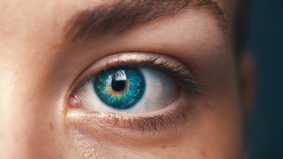 El origen de los comportamientos sociales está en los ojos