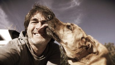 ¿Es peligroso el lametón de un perro? Desmitificando el mito
