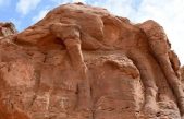A tamaño natural en mitad del desierto: así son las misteriosas tallas de camellos encontrados en Arabia Saudí