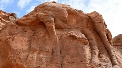 A tamaño natural en mitad del desierto: así son las misteriosas tallas de camellos encontrados en Arabia Saudí