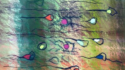 El atlas del cerebro más detallado hasta hoy muestra la enorme complejidad que nos hace humanos