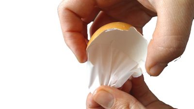 Un estudio del CSIC plantea usar la membrana de huevo como material de regeneración ósea