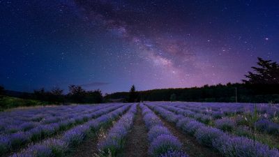 ¿Por qué el cielo nocturno es oscuro?