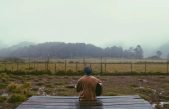Por qué nos resulta tan agradable el olor a lluvia y de dónde proviene