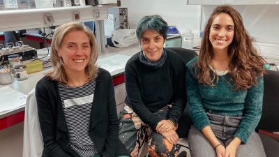 Posible nueva terapia frente a la hipertensión arterial