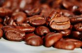 Explorando los efectos de la cafeína en el cuerpo humano