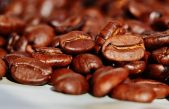 Explorando los efectos de la cafeína en el cuerpo humano