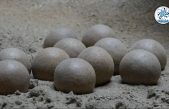Hito histórico: el inusual hallazgo paleontológico en China que asombra a los científicos