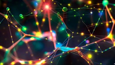 Revelan circuitos neuronales asociados a toma de decisiones