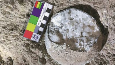 Encuentran tres extraños huevos fósiles cristalizados de dinosaurio en China