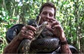 Descubren la nueva especie de serpiente más grande del mundo