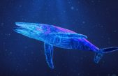 Así es como las ballenas producen su canto, según un estudio
