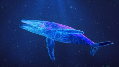 Así es como las ballenas producen su canto, según un estudio