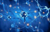 No podemos aumentar el número de neuronas de nuestro cerebro, pero sí ayudar a que estén mejor conectadas