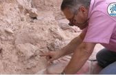 Controvertido estudio revela información sorprendente sobre nuestro origen como especie humana