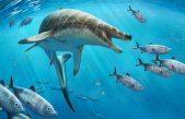 Descubren en mina de Marruecos un monstruo marino de la época de los dinosaurios