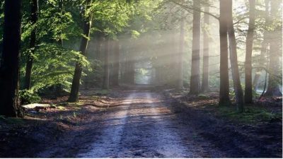 El contacto con la naturaleza cambia nuestra percepción del tiempo