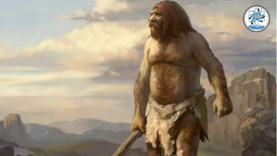 Finalmente sabemos la causa que llevó a la extinción de los neandertales hace 28,000 años