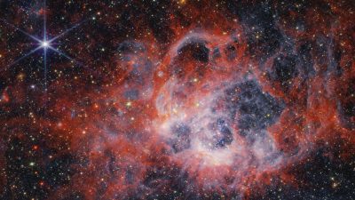 Webb observa los zarcillos de NGC 604