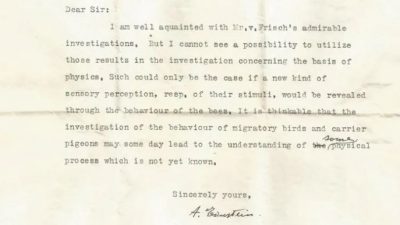 Una carta perdida revela que Albert Einstein predijo la existencia de los supersentidos animales