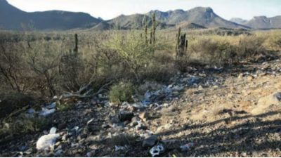 Oasis alimentarios en el desierto