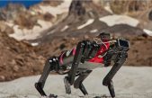 Los perros robots tendrán nuevas misiones cuando estén en la Luna: servirán para rescatar personas atrapadas